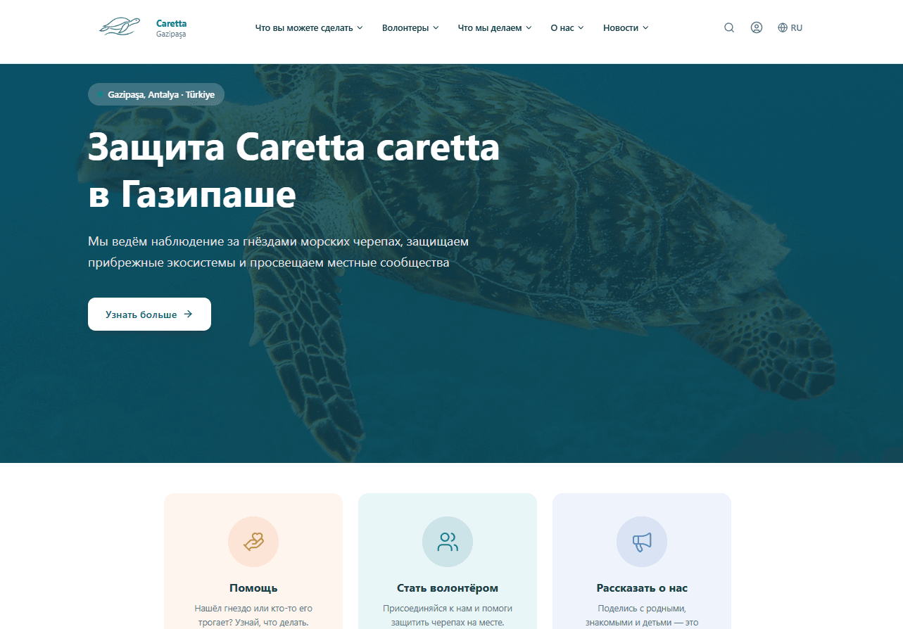 Главная страница сайта Caretta Friends