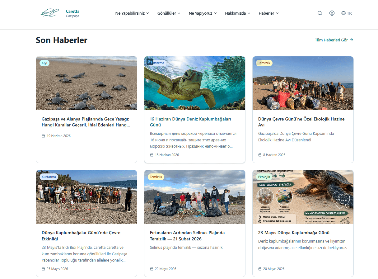 Новостной раздел сайта Caretta Friends